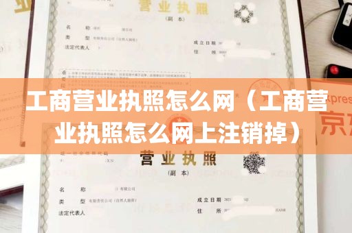 工商营业执照怎么网（工商营业执照怎么网上注销掉）