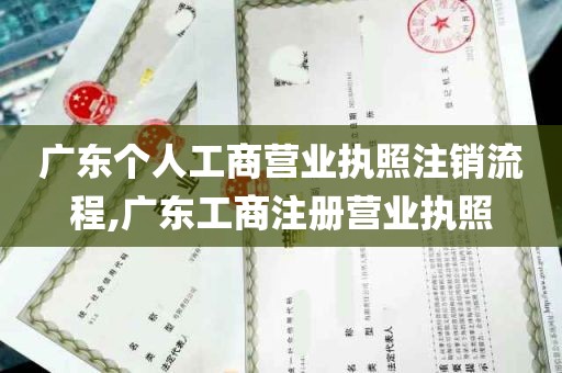 广东个人工商营业执照注销流程,广东工商注册营业执照