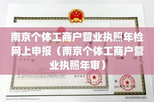 南京个体工商户营业执照年检网上申报（南京个体工商户营业执照年审）