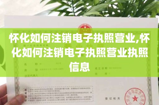 怀化如何注销电子执照营业,怀化如何注销电子执照营业执照信息