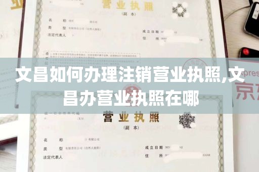 文昌如何办理注销营业执照,文昌办营业执照在哪