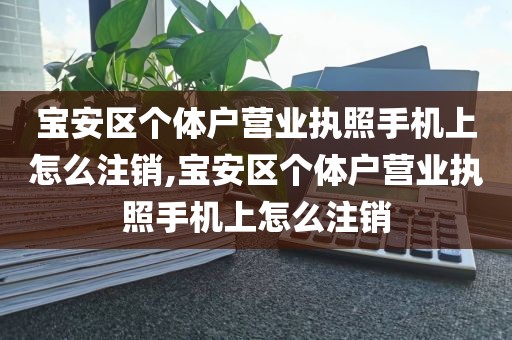 宝安区个体户营业执照手机上怎么注销,宝安区个体户营业执照手机上怎么注销