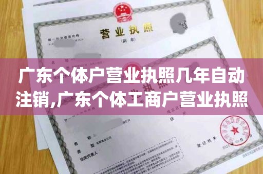 广东个体户营业执照几年自动注销,广东个体工商户营业执照