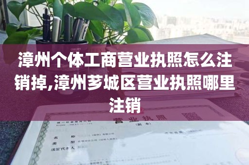 漳州个体工商营业执照怎么注销掉,漳州芗城区营业执照哪里注销
