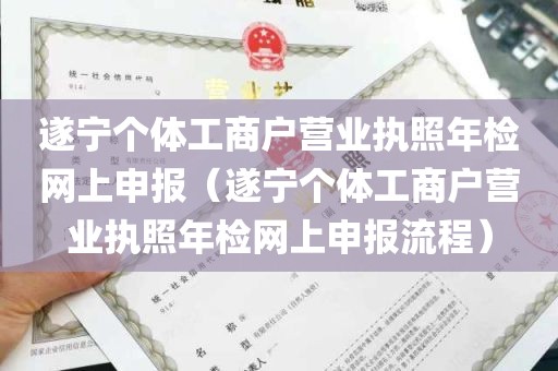 遂宁个体工商户营业执照年检网上申报（遂宁个体工商户营业执照年检网上申报流程）