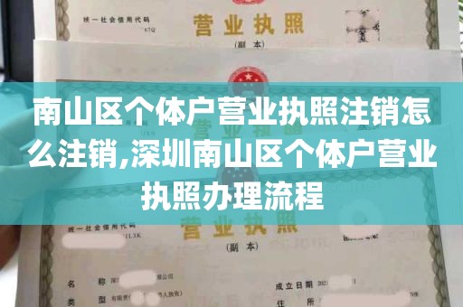 南山区个体户营业执照注销怎么注销,深圳南山区个体户营业执照办理流程