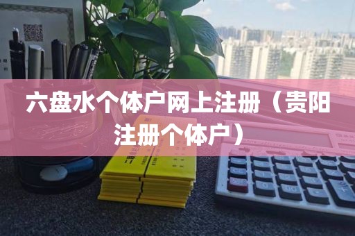 六盘水个体户网上注册（贵阳注册个体户）