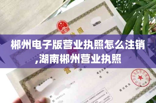郴州电子版营业执照怎么注销,湖南郴州营业执照