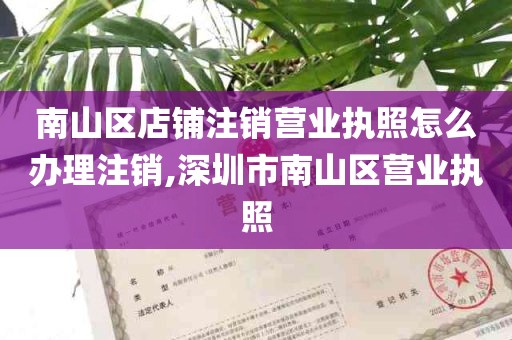 南山区店铺注销营业执照怎么办理注销,深圳市南山区营业执照