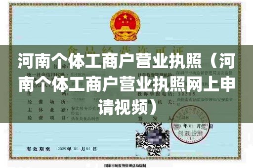 河南个体工商户营业执照（河南个体工商户营业执照网上申请视频）