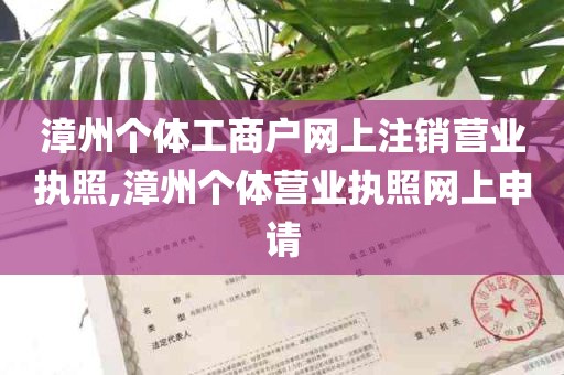 漳州个体工商户网上注销营业执照,漳州个体营业执照网上申请