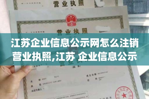 江苏企业信息公示网怎么注销营业执照,江苏 企业信息公示