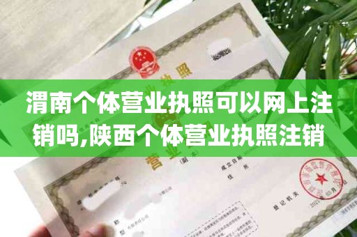 渭南个体营业执照可以网上注销吗,陕西个体营业执照注销