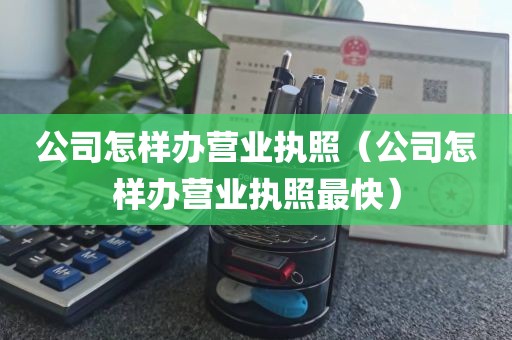 公司怎样办营业执照（公司怎样办营业执照最快）