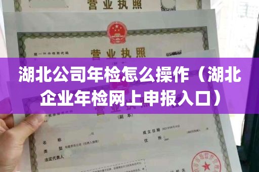 湖北公司年检怎么操作（湖北企业年检网上申报入口）