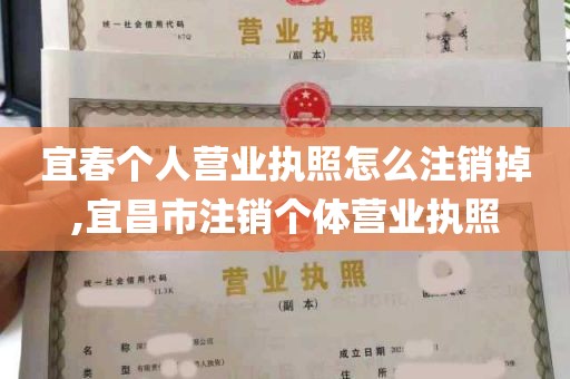 宜春个人营业执照怎么注销掉,宜昌市注销个体营业执照