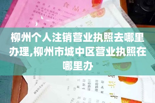 柳州个人注销营业执照去哪里办理,柳州市城中区营业执照在哪里办