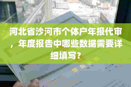 河北省沙河市个体户年报代审，年度报告中哪些数据需要详细填写？