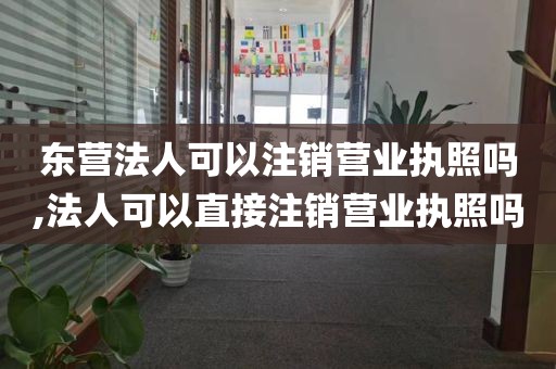 东营法人可以注销营业执照吗,法人可以直接注销营业执照吗