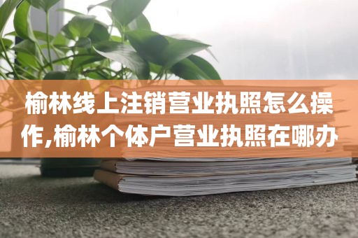 榆林线上注销营业执照怎么操作,榆林个体户营业执照在哪办