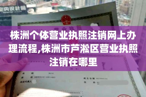 株洲个体营业执照注销网上办理流程,株洲市芦淞区营业执照注销在哪里