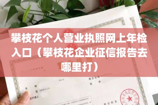 攀枝花个人营业执照网上年检入口（攀枝花企业征信报告去哪里打）