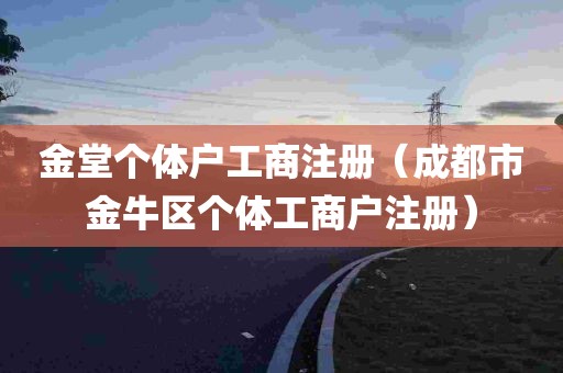 金堂个体户工商注册（成都市金牛区个体工商户注册）