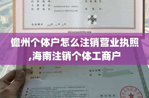 儋州个体户怎么注销营业执照,海南注销个体工商户