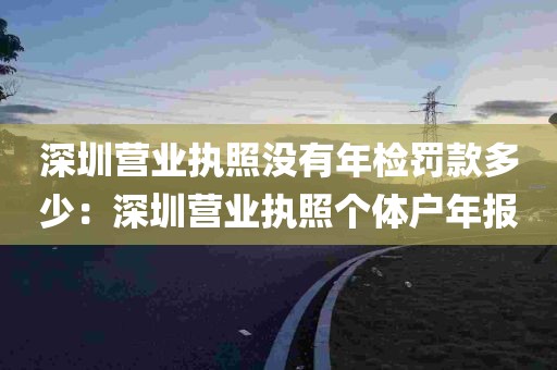 深圳营业执照没有年检罚款多少：深圳营业执照个体户年报