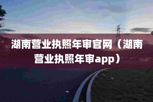 湖南营业执照年审官网（湖南营业执照年审app）