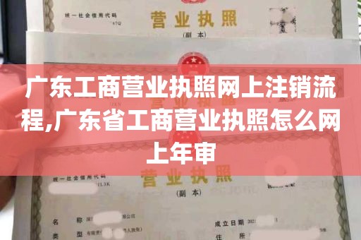 广东工商营业执照网上注销流程,广东省工商营业执照怎么网上年审