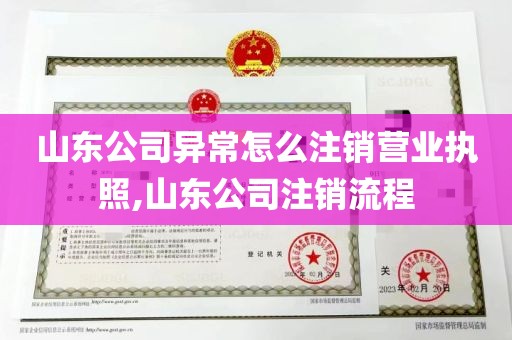 山东公司异常怎么注销营业执照,山东公司注销流程