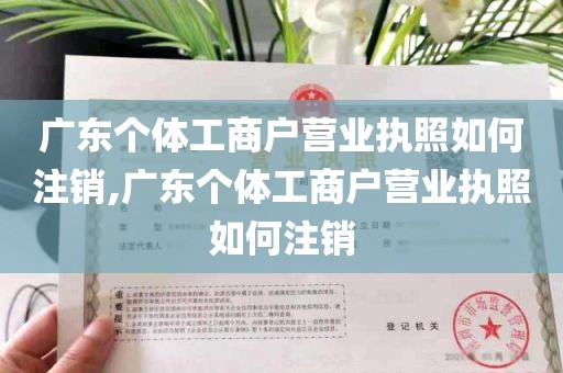 广东个体工商户营业执照如何注销,广东个体工商户营业执照如何注销