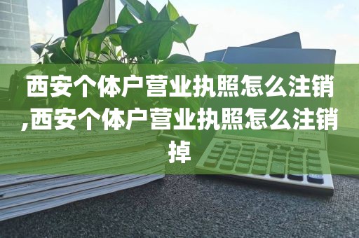 西安个体户营业执照怎么注销,西安个体户营业执照怎么注销掉