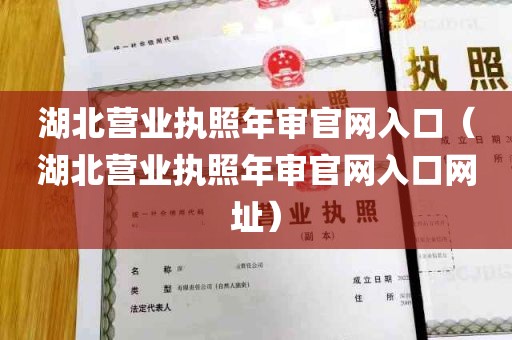 湖北营业执照年审官网入口（湖北营业执照年审官网入口网址）