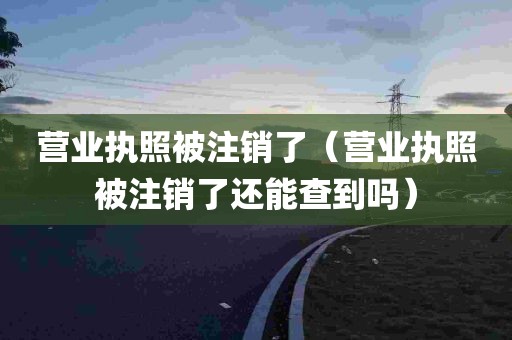 营业执照被注销了（营业执照被注销了还能查到吗）