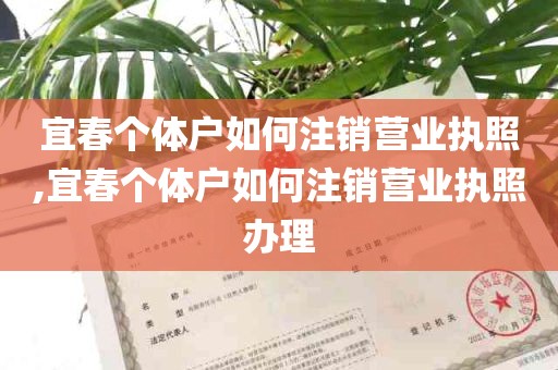 宜春个体户如何注销营业执照,宜春个体户如何注销营业执照办理