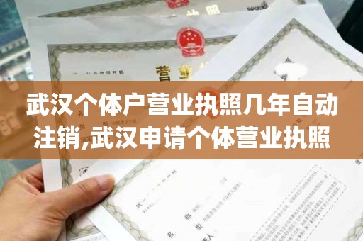 武汉个体户营业执照几年自动注销,武汉申请个体营业执照