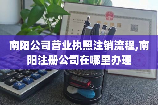 南阳公司营业执照注销流程,南阳注册公司在哪里办理