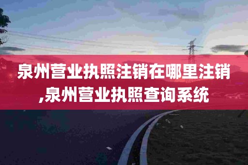 泉州营业执照注销在哪里注销,泉州营业执照查询系统