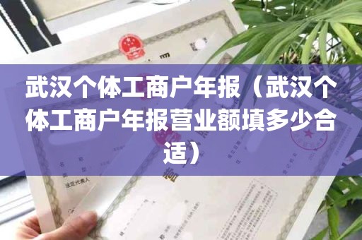 武汉个体工商户年报（武汉个体工商户年报营业额填多少合适）