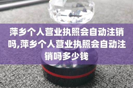 萍乡个人营业执照会自动注销吗,萍乡个人营业执照会自动注销吗多少钱