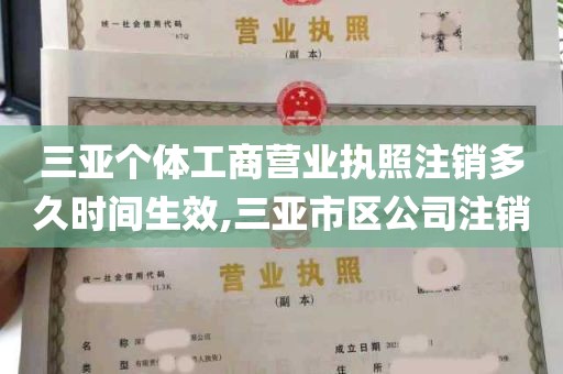 三亚个体工商营业执照注销多久时间生效,三亚市区公司注销