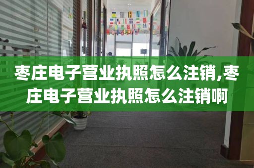 枣庄电子营业执照怎么注销,枣庄电子营业执照怎么注销啊