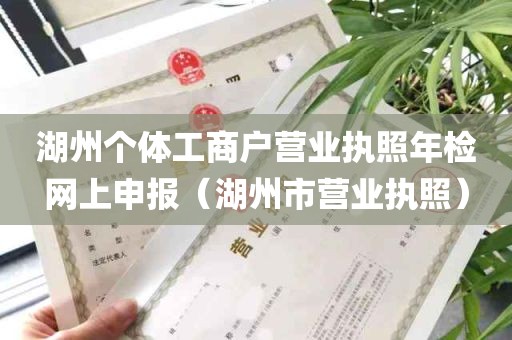 湖州个体工商户营业执照年检网上申报（湖州市营业执照）