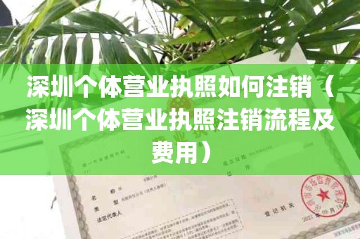 深圳个体营业执照如何注销（深圳个体营业执照注销流程及费用）