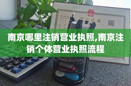 南京哪里注销营业执照,南京注销个体营业执照流程