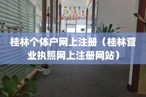 桂林个体户网上注册（桂林营业执照网上注册网站）