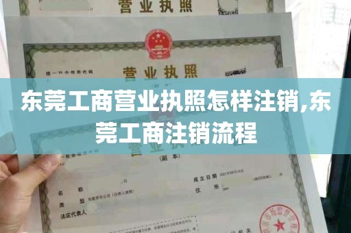 东莞工商营业执照怎样注销,东莞工商注销流程