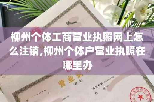 柳州个体工商营业执照网上怎么注销,柳州个体户营业执照在哪里办